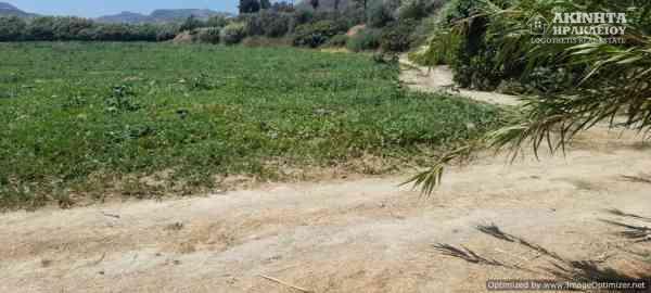 εικόνα_Viber_2025-07-10_14-19-47-489.jpg